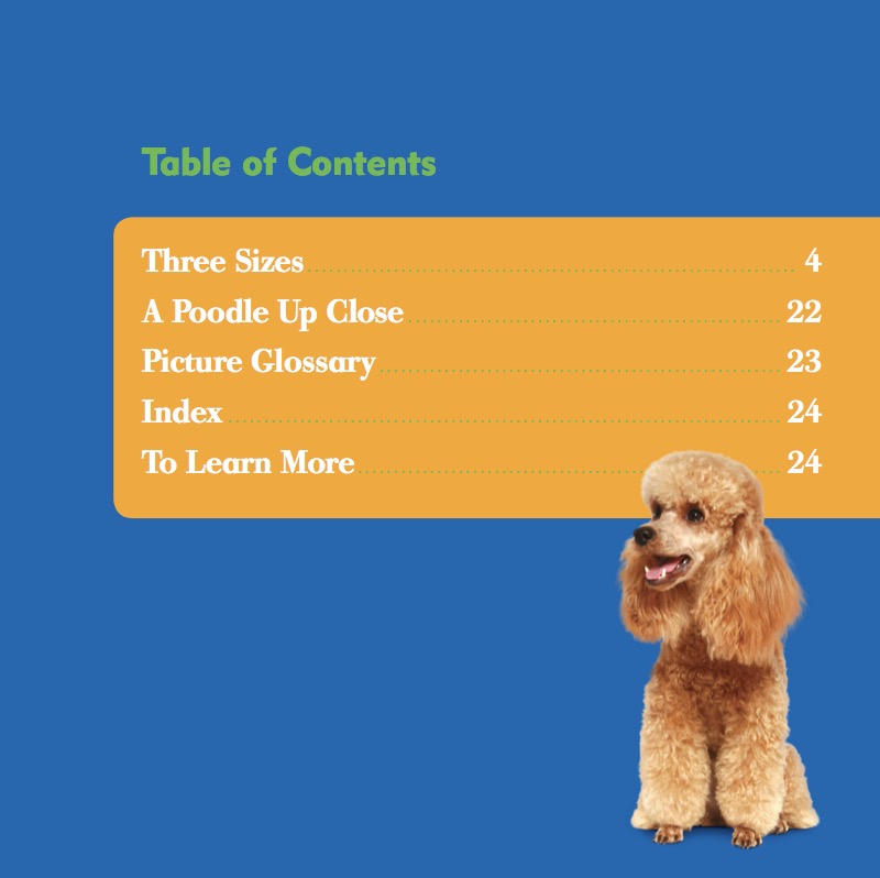 Poodles book cover