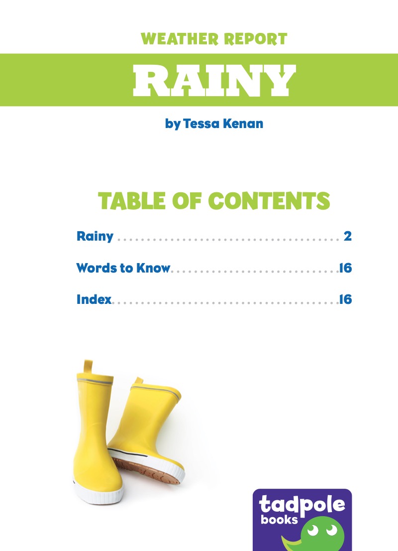 Rainy book cover