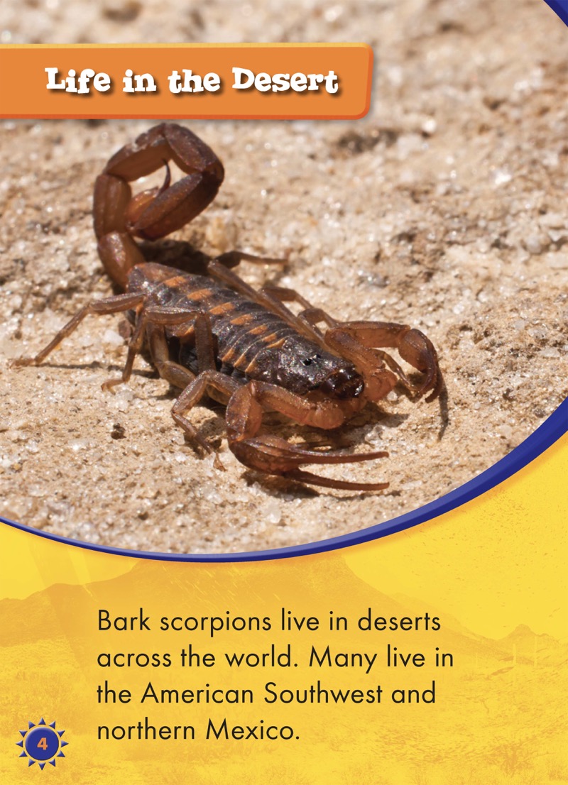 Bark Scorpions — page 1