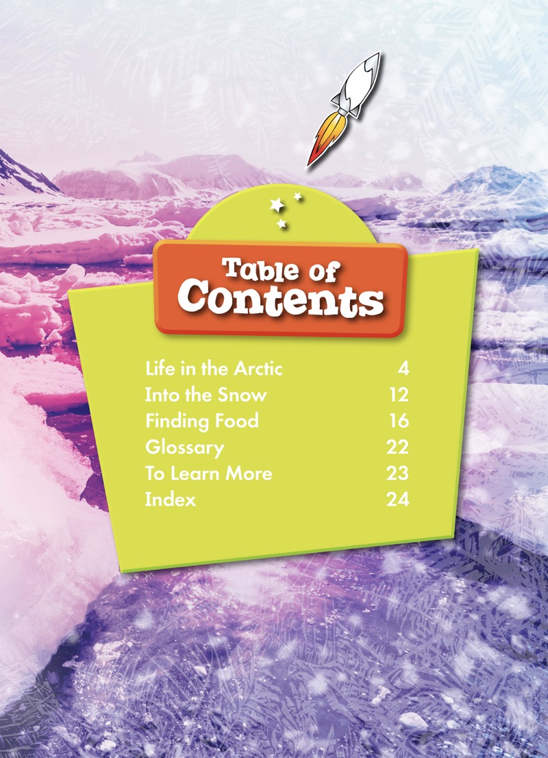 Arctic Foxes book cover