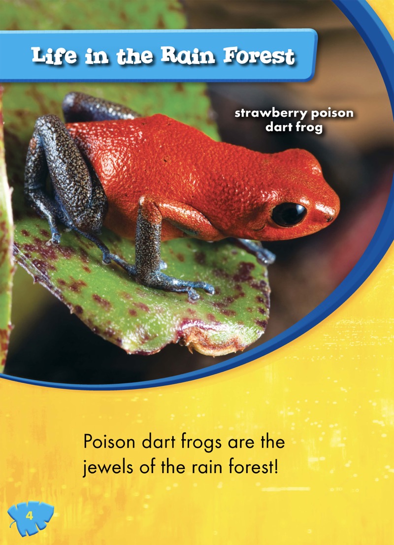 Poison Dart Frogs — page 1