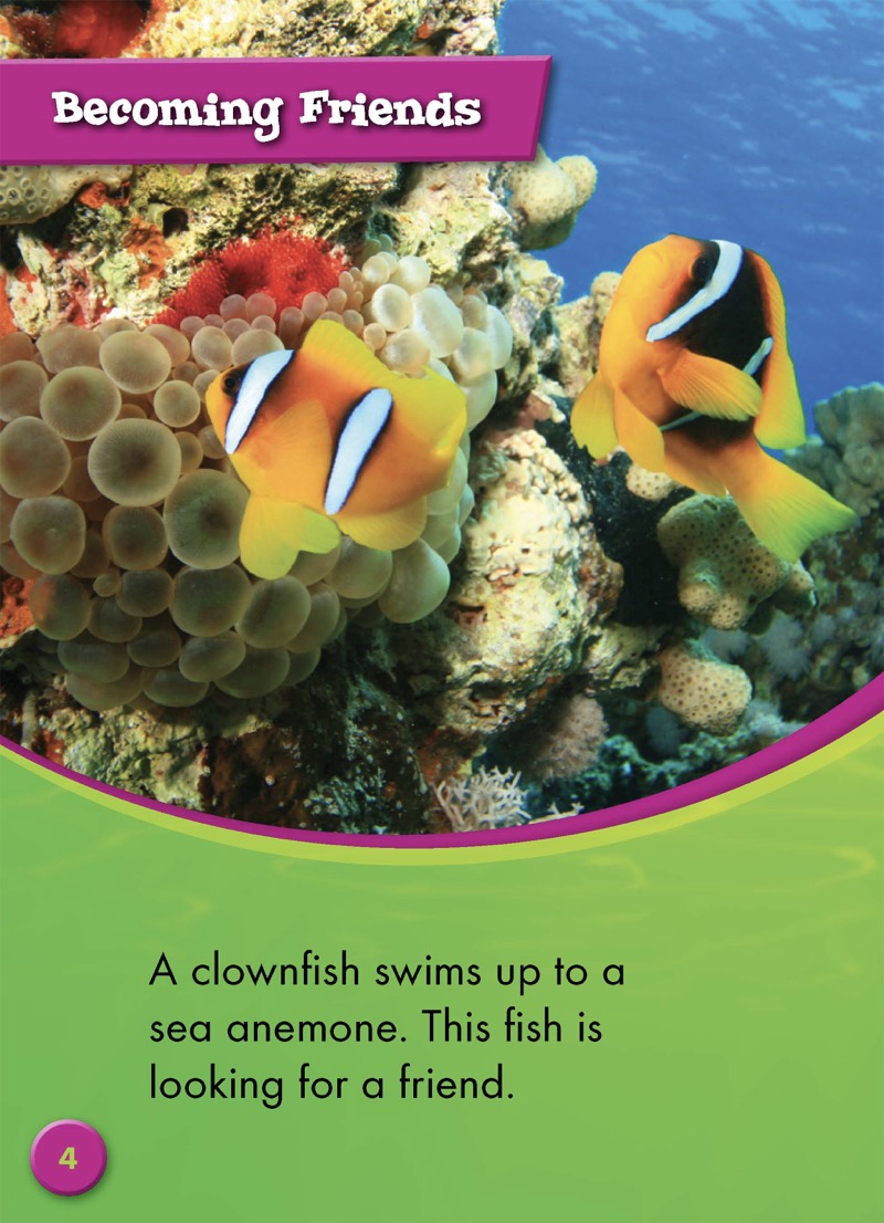 Clownfish and Sea Anemones — page 1