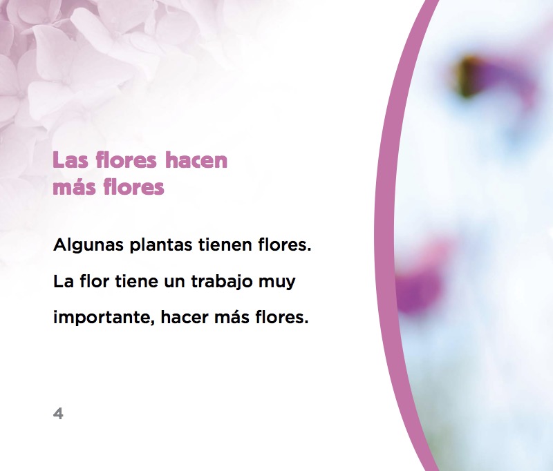Flores — page 1