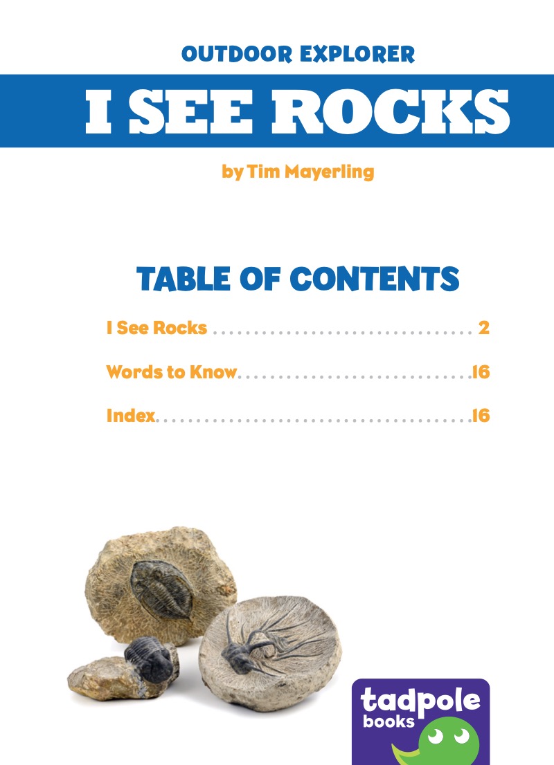 I See Rocks book cover