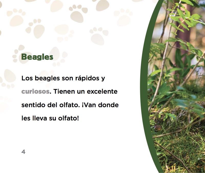 Beagles — page 1