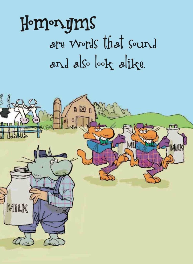 How Much Can a Bare Bear Bear?: What Are Homonyms and Homophones? — page 1