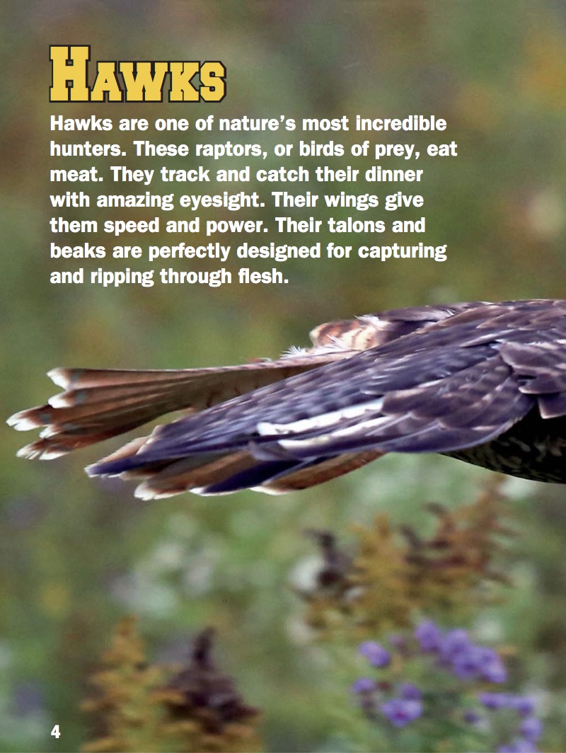 Hawks — page 1