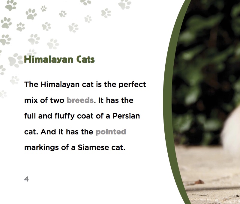 Himalayan Cats — page 1