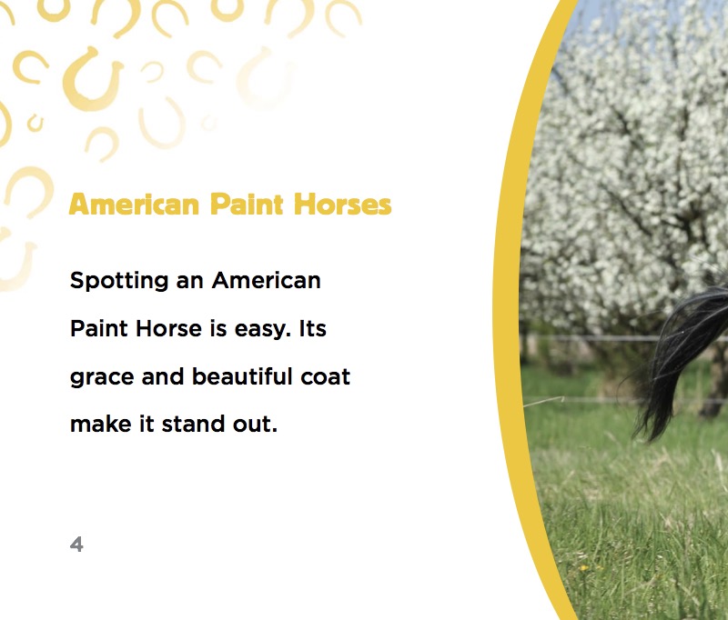 American Paint Horses — page 1