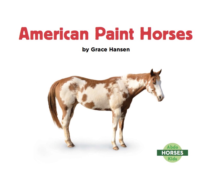 American Paint Horses book cover