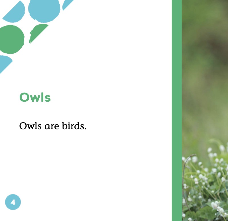 Owls — page 1