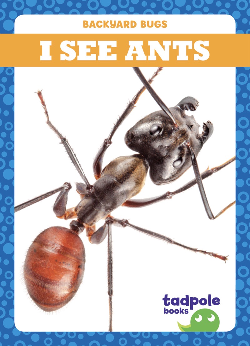 I See Ants book cover