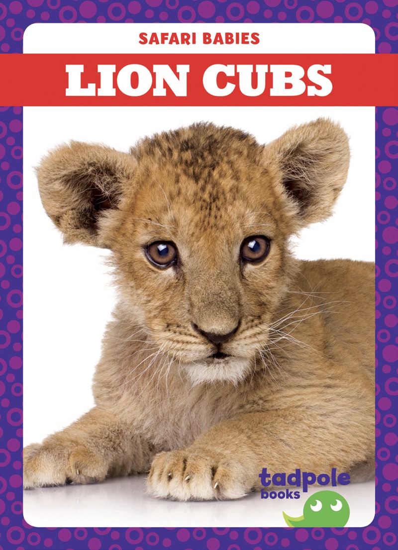 Lion Cubs book cover