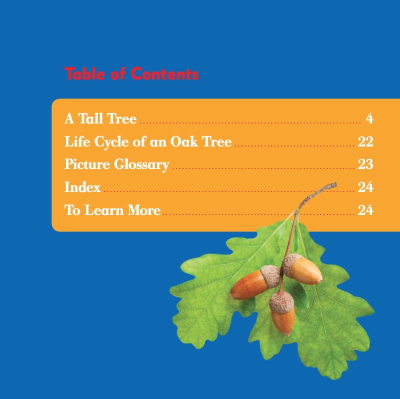 Watch an Oak Tree Grow book cover