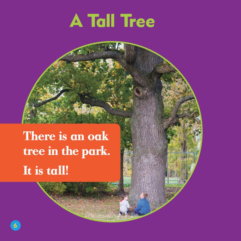 Watch an Oak Tree Grow — page 1