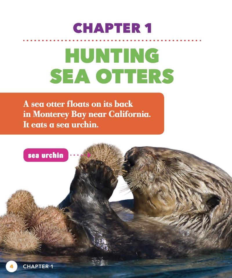 Saving the Sea Otter — page 1