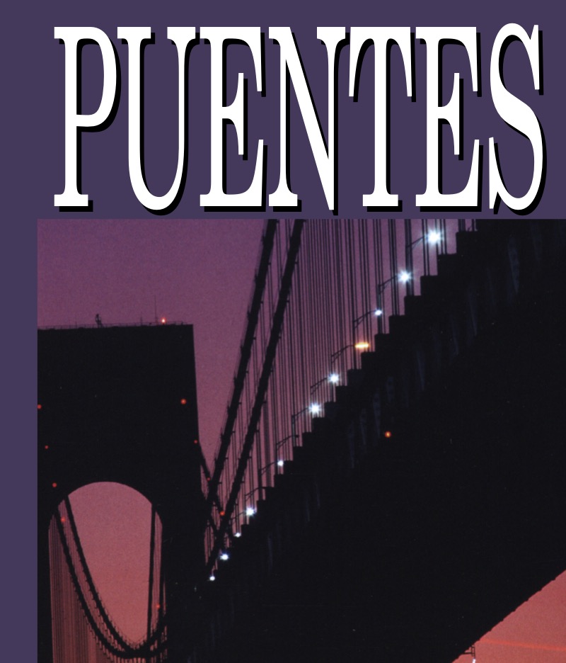 Puentes book cover