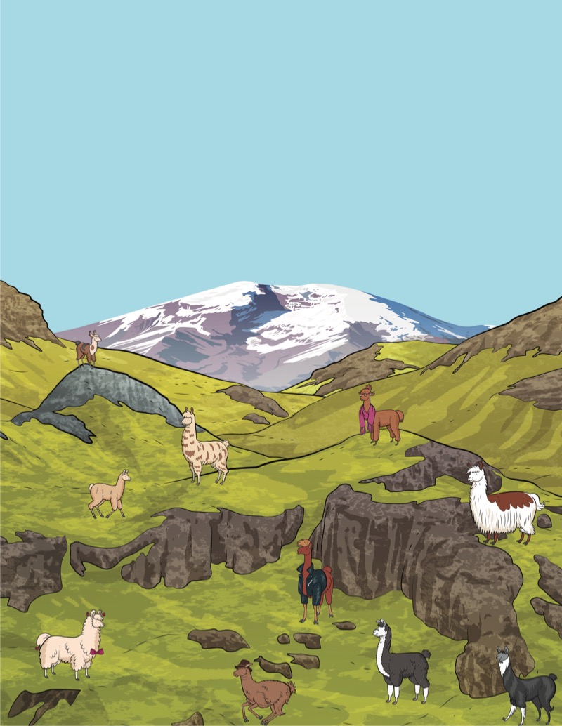 Where's the Llama? — page 1