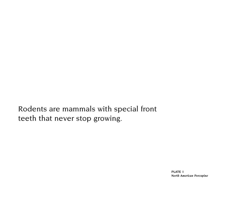 About Rodents: A Guide for Children — page 1
