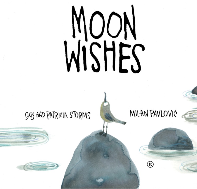 Moon Wishes book cover