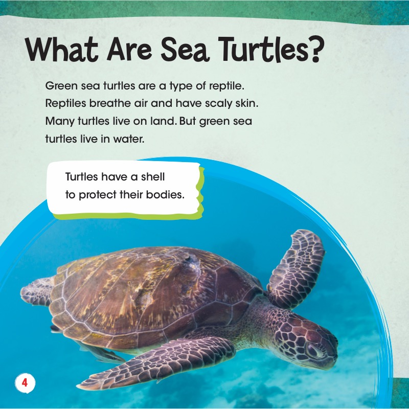 Animals in Danger: Green Sea Turtles — page 1