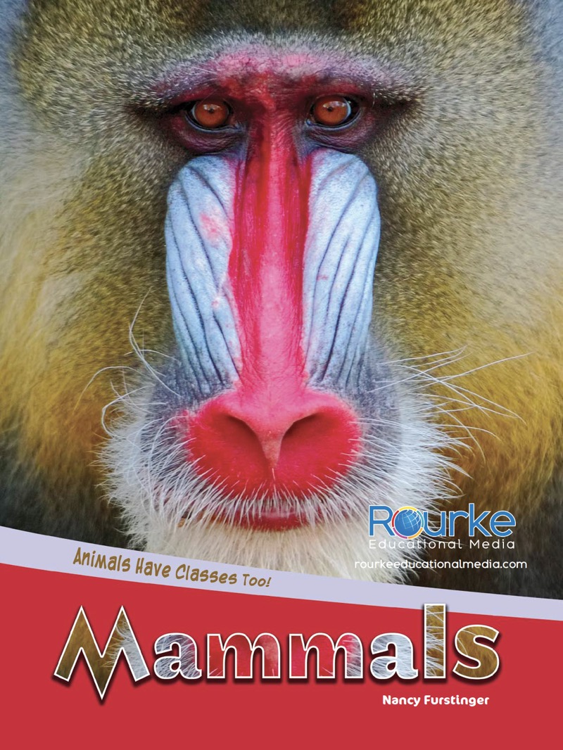 Animals Have Classes Too!: Mammals book cover