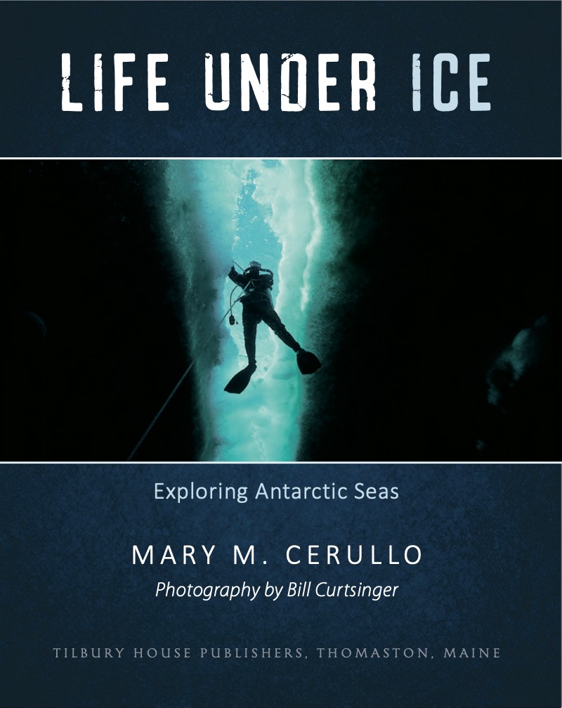 Life Under Ice: Exploring Antarctic Seas book cover