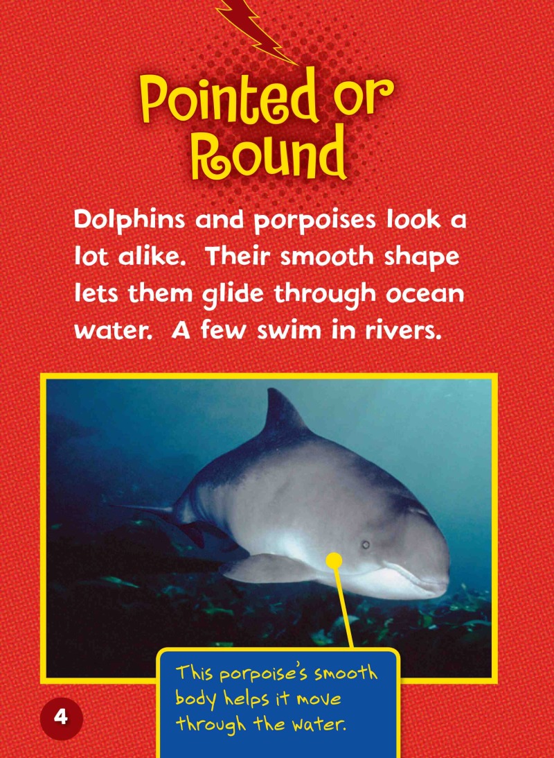 Can You Tell a Dolphin from a Porpoise? — page 1