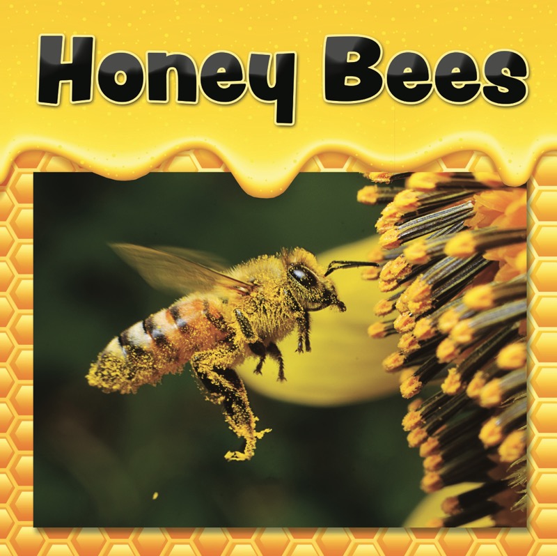 Honey Bees book cover