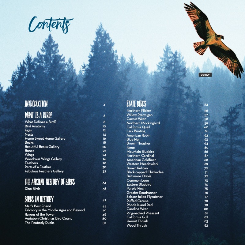 Fly With Me: A Celebration of Birds through Pictures, Poems, and Stories — page 1