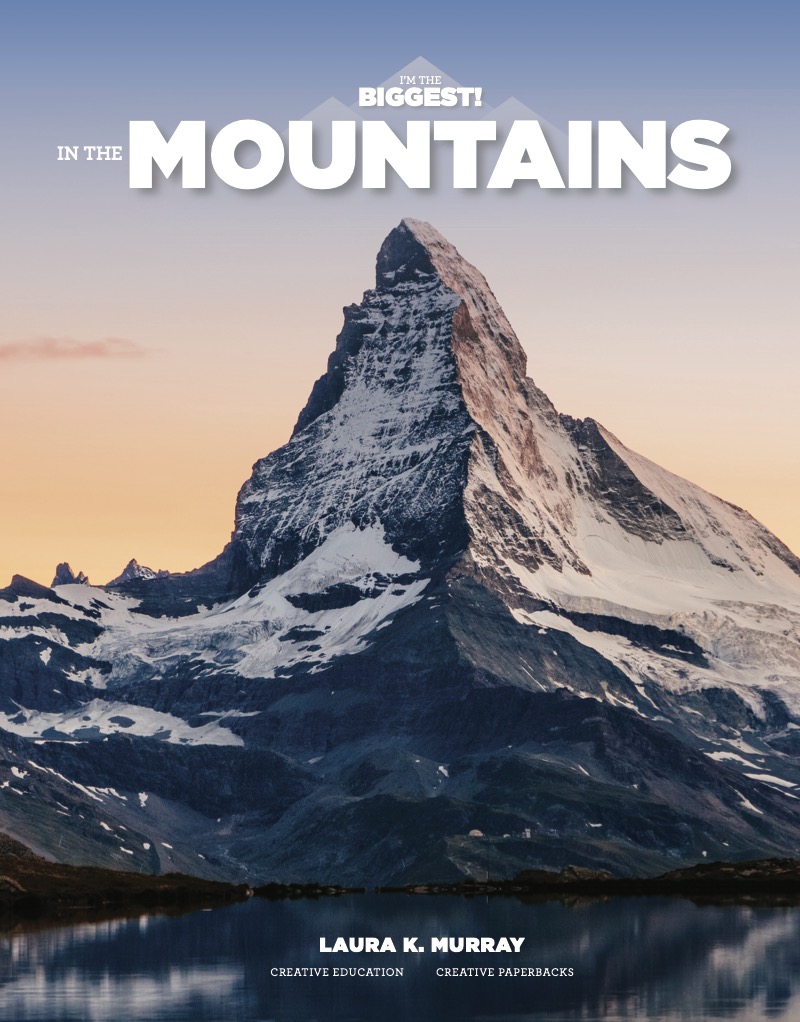 In The Mountains book cover