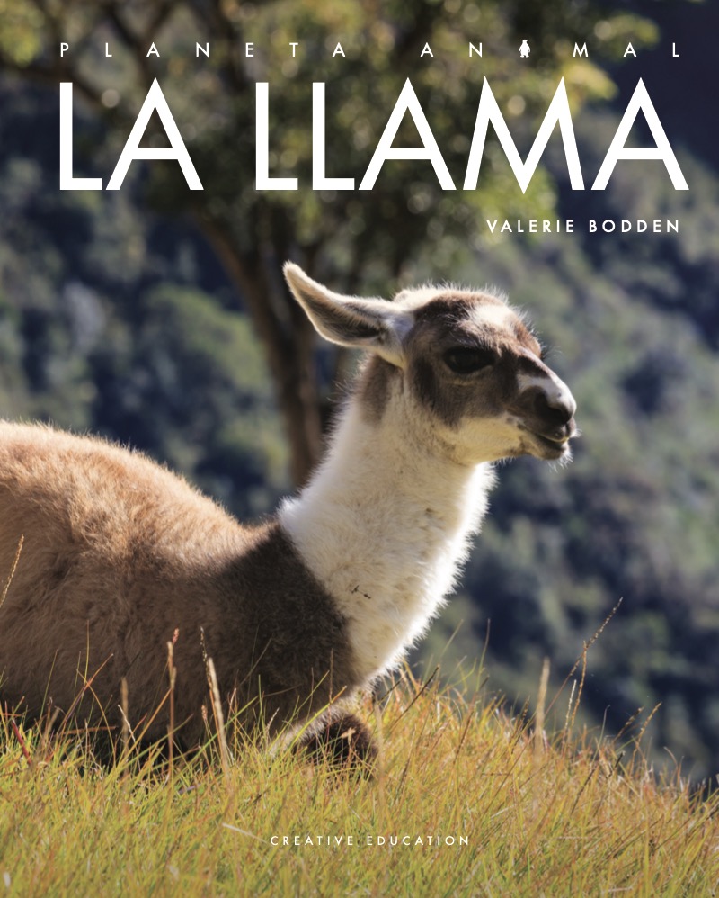 Planeta Animal: La Llama book cover