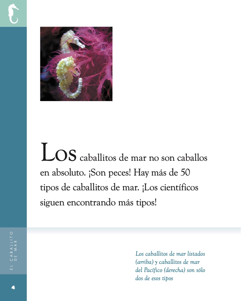 Planeta Animal: El Caballito de Mar — page 1