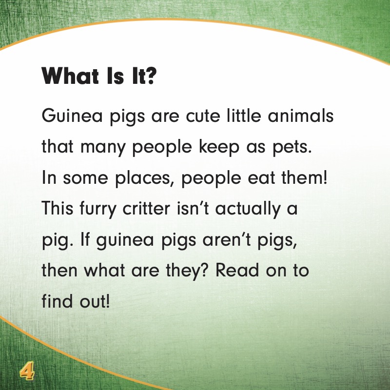 Guinea Pigs Are Not Pigs! — page 1