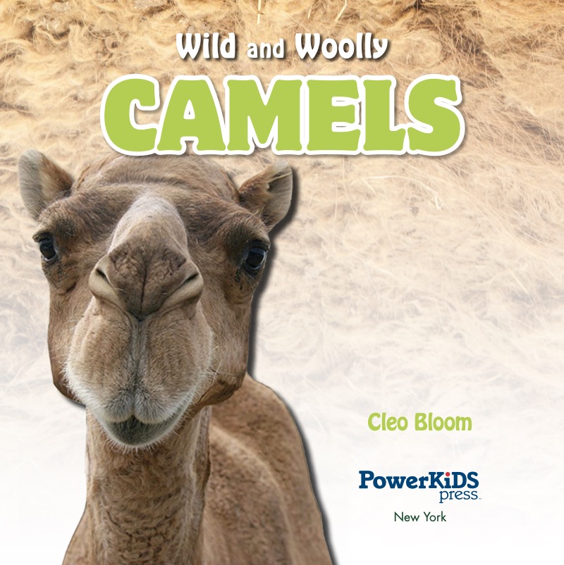 Camels book cover