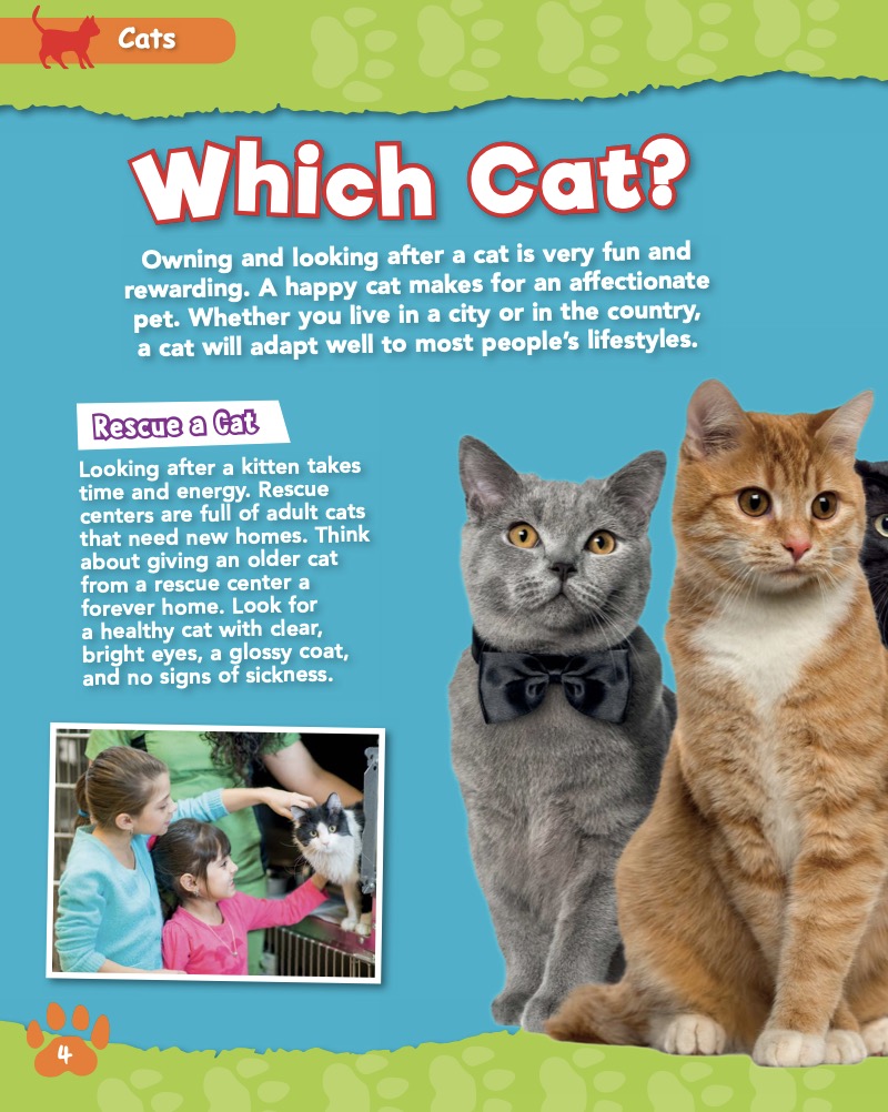 Cool Pets for Kids: Cats — page 1