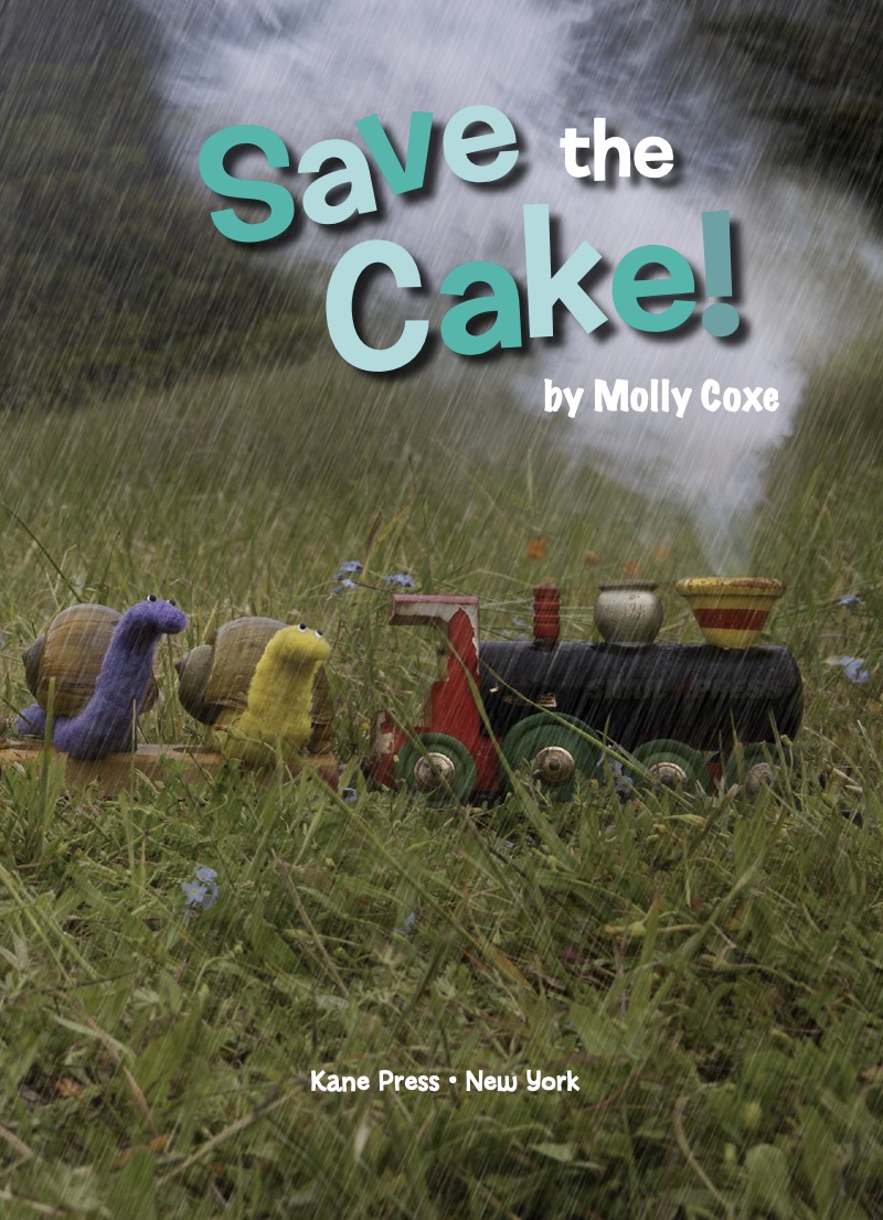 Save the Cake book cover