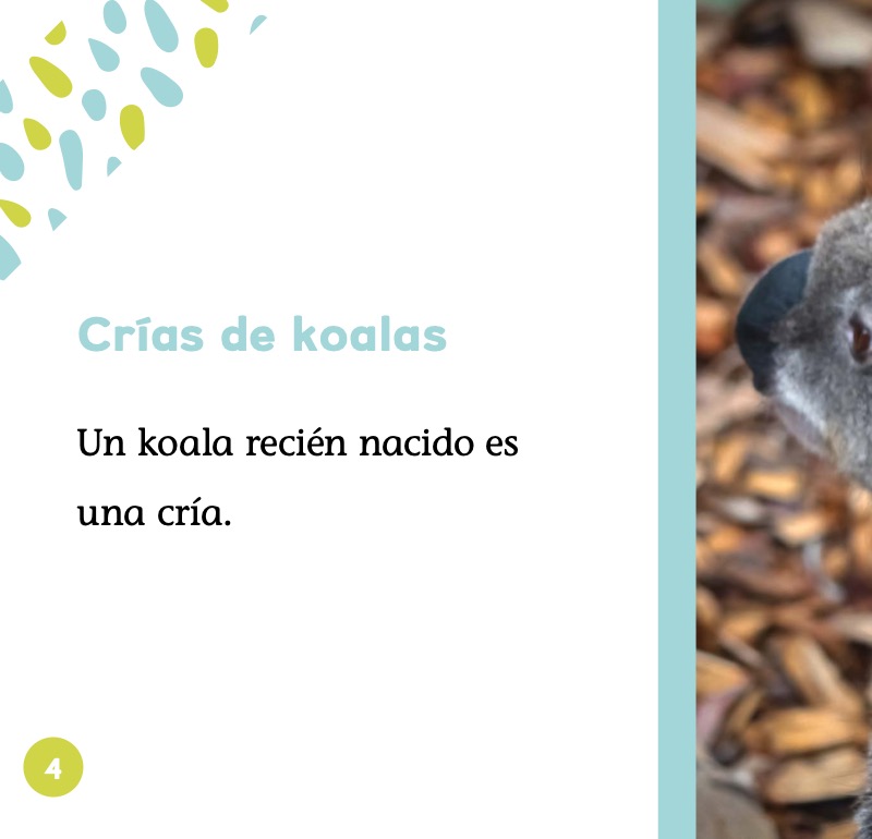 Crías de koalas — page 1