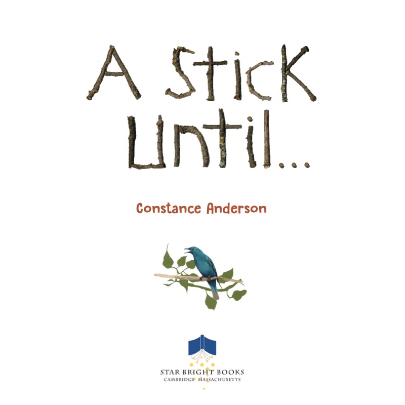 A Stick Until... book cover