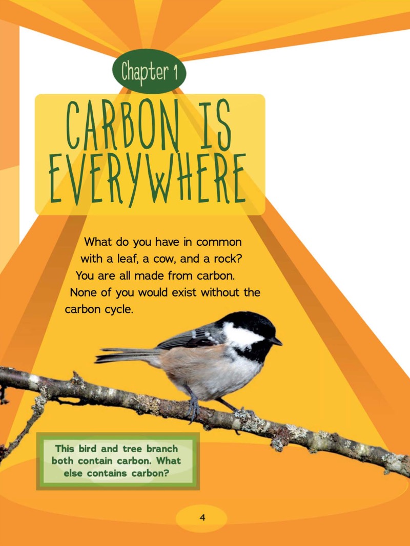 Investigating the Carbon Cycle — page 1
