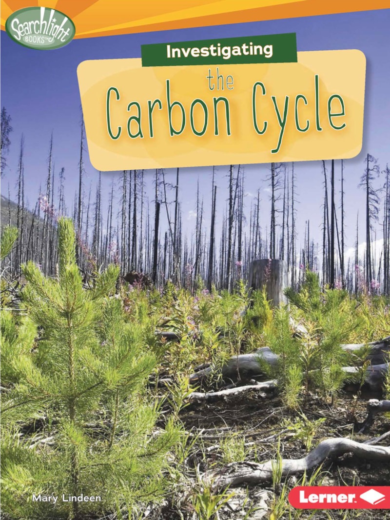 Investigating the Carbon Cycle book cover