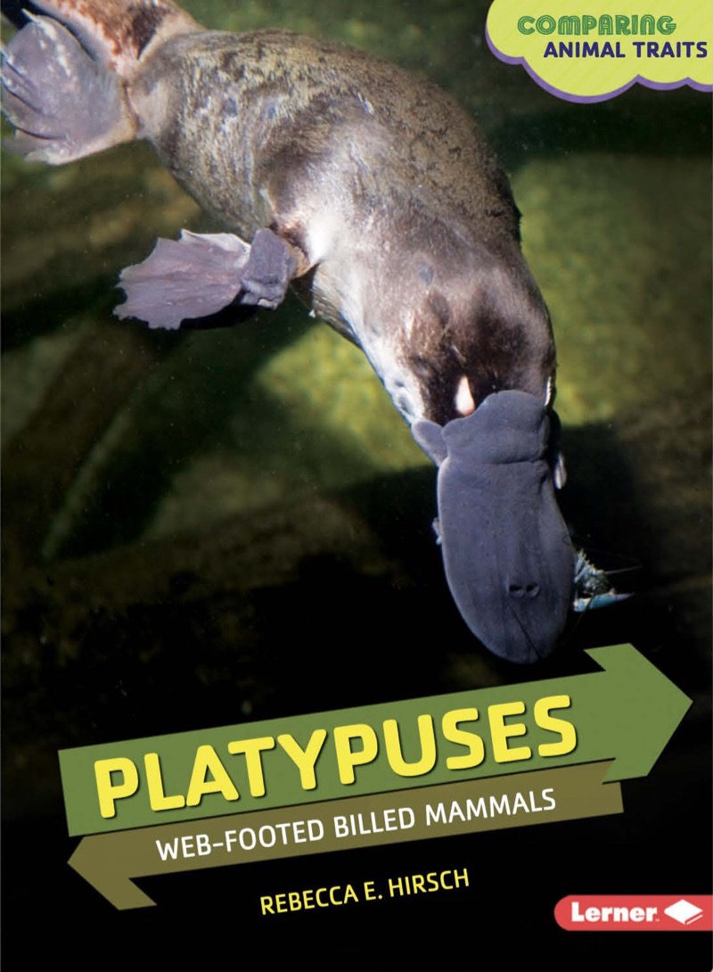 Platypuses: Web-Footed Billed Mammals book cover