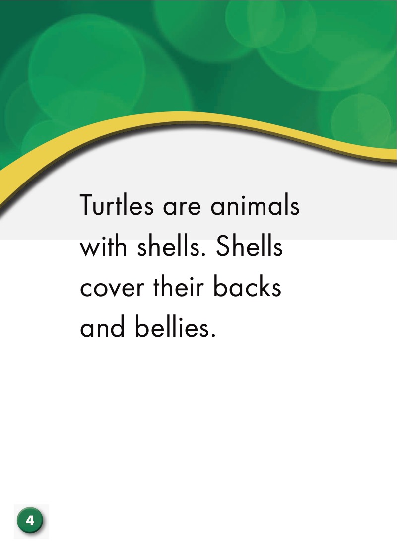 Turtles: Backyard Wildlife — page 1