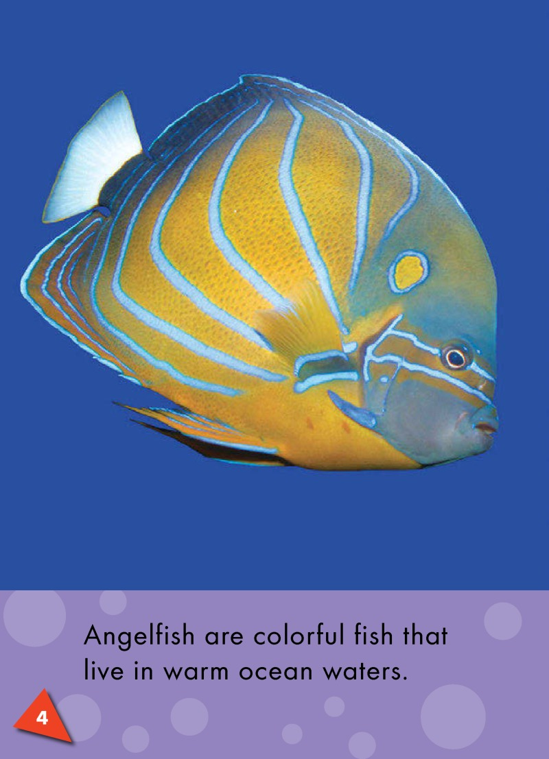 Angelfish: Oceans Alive — page 1