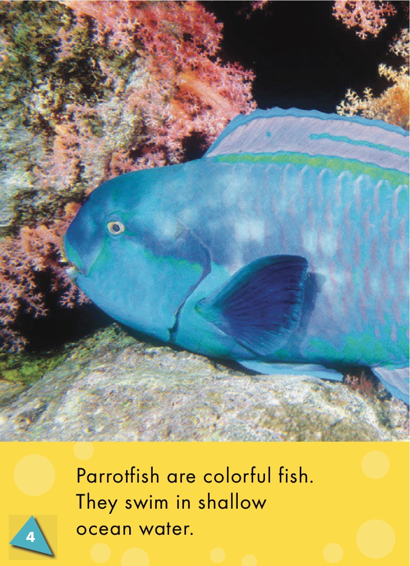 Parrotfish: Oceans Alive — page 1
