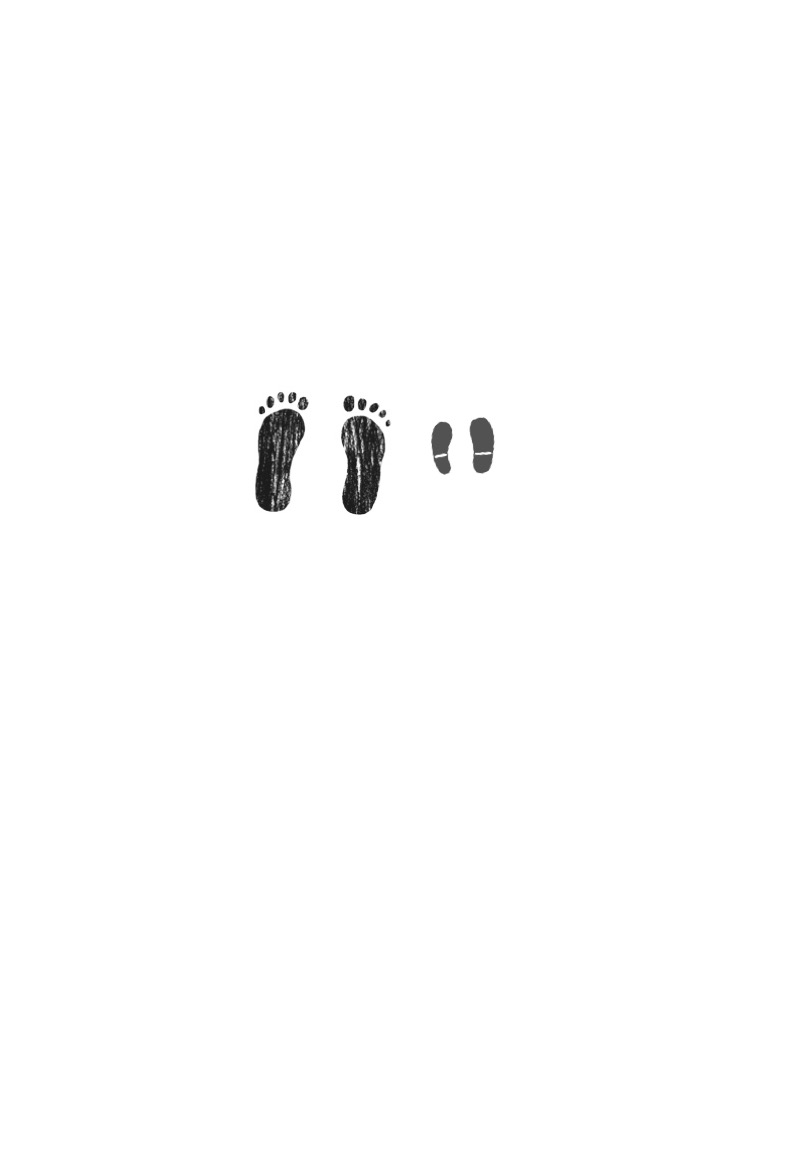 The Squatchicorns (Big Foot and Little Foot #3) book cover