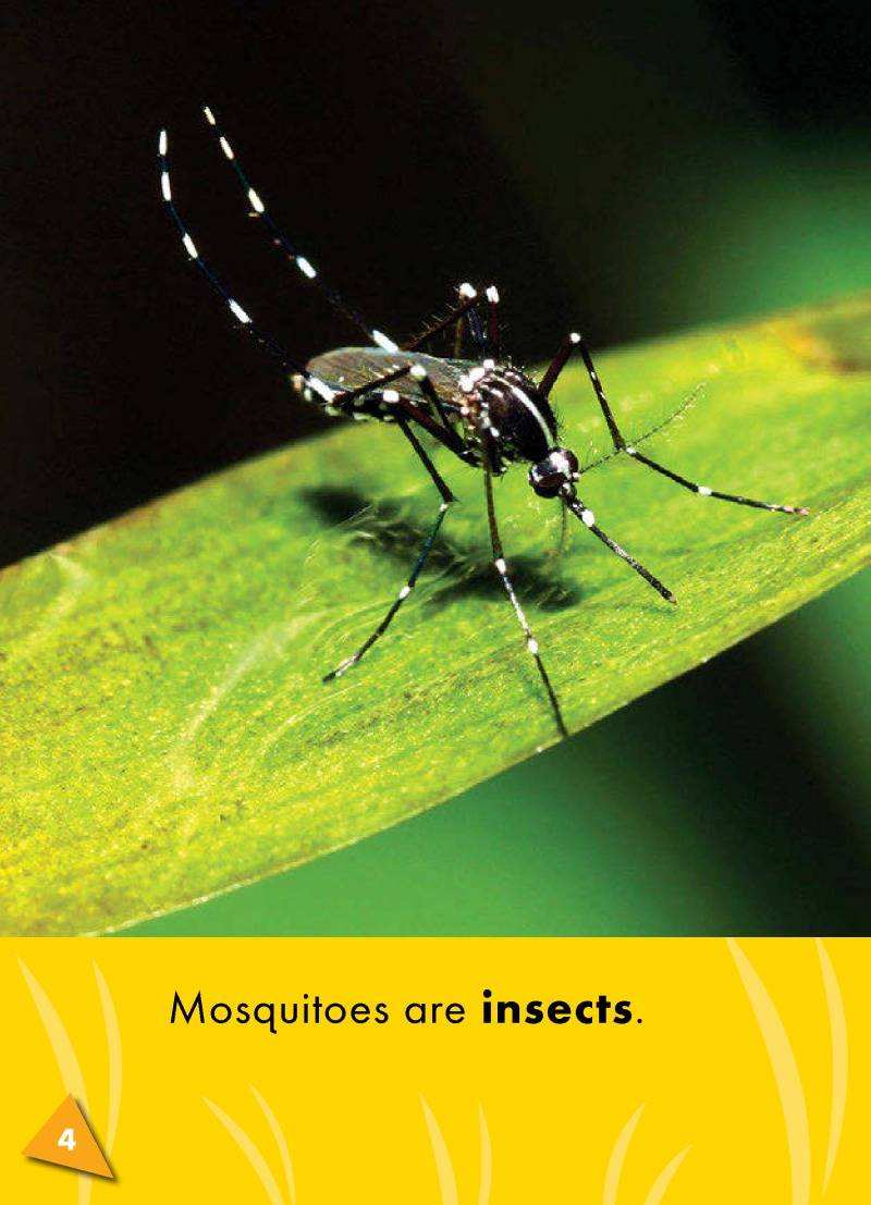 World of Insects: Mosquitoes — page 1