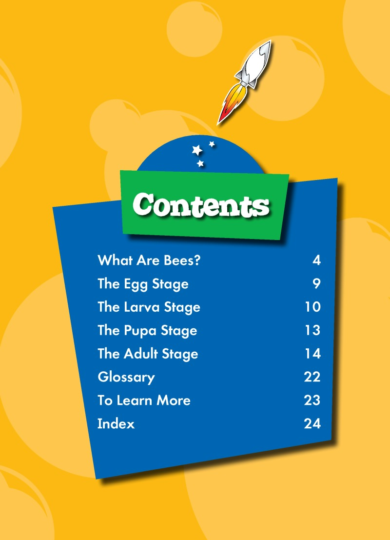 The Life Cycle of a Bee book cover