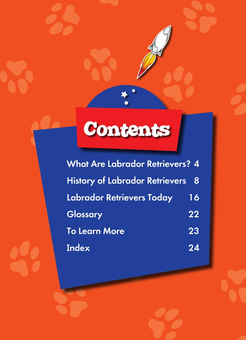Labrador Retrievers: Dog Breeds book cover