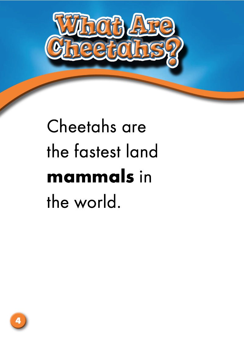Cheetahs: Animal Safari — page 1